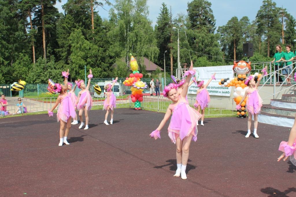 сочинение флора дизайн сочинение флора дизайн
