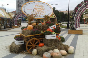 Фестиваль «Золотая осень» на площади Юности. Фото «Зеленоград24»
