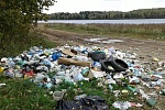 Власти Солнечногорска обвиняют москвичей в сваливании мусора