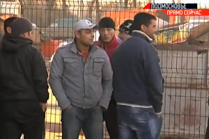 Мигранты. Фото: Сриншот с видео телеканала «Подмосковье»