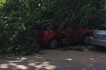 Ветер повалил дерево на  припаркованные около железной дороги машины