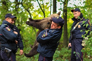 Найденные медвежата. Фото Екатерины Степановой