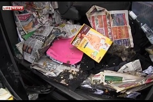 Салон автомобиля с животными.  Скриншот с видео Lifenews.ru